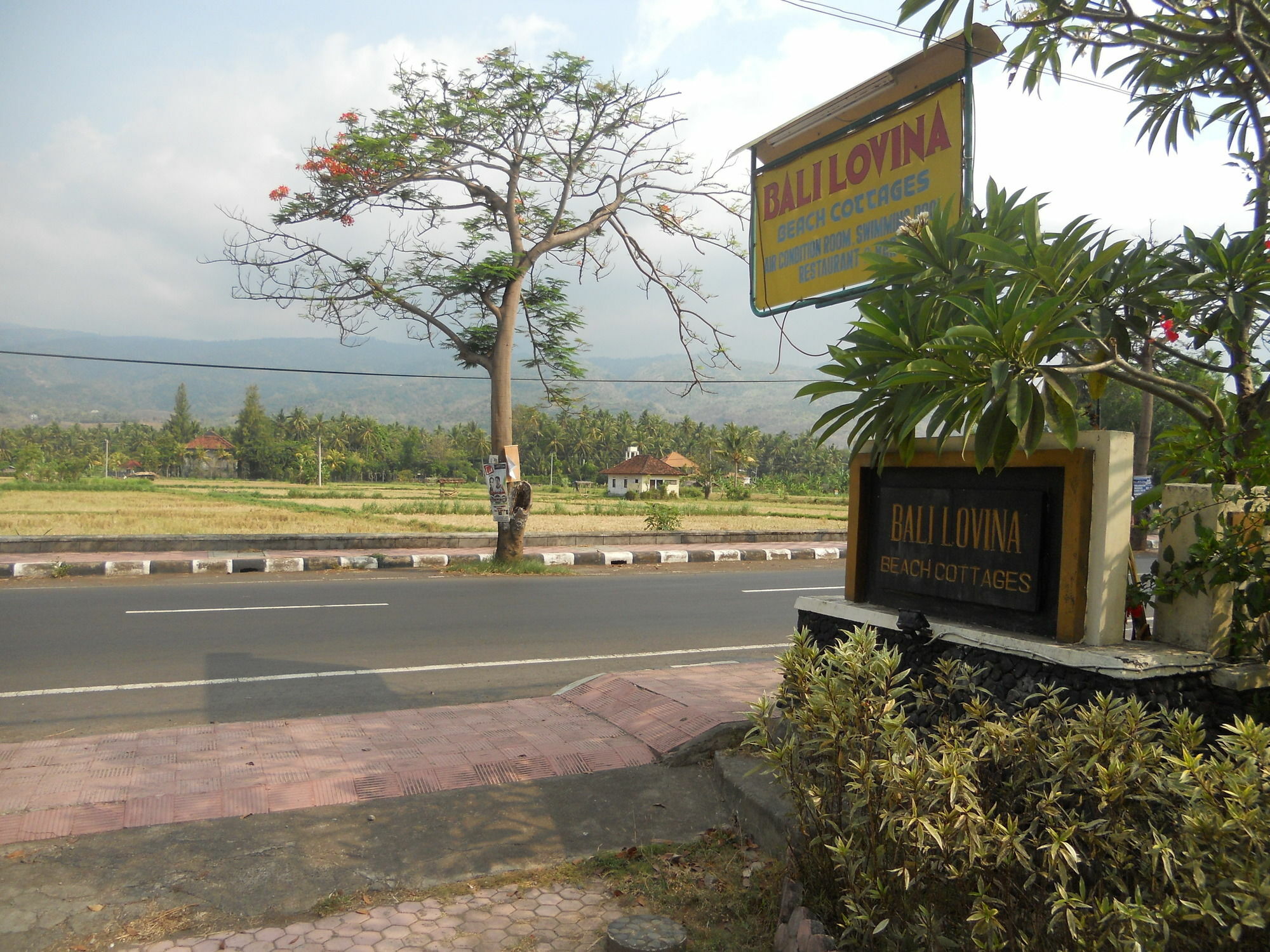 Bali Lovina Beach Cottages Pabean Buleleng Eksteriør bilde
