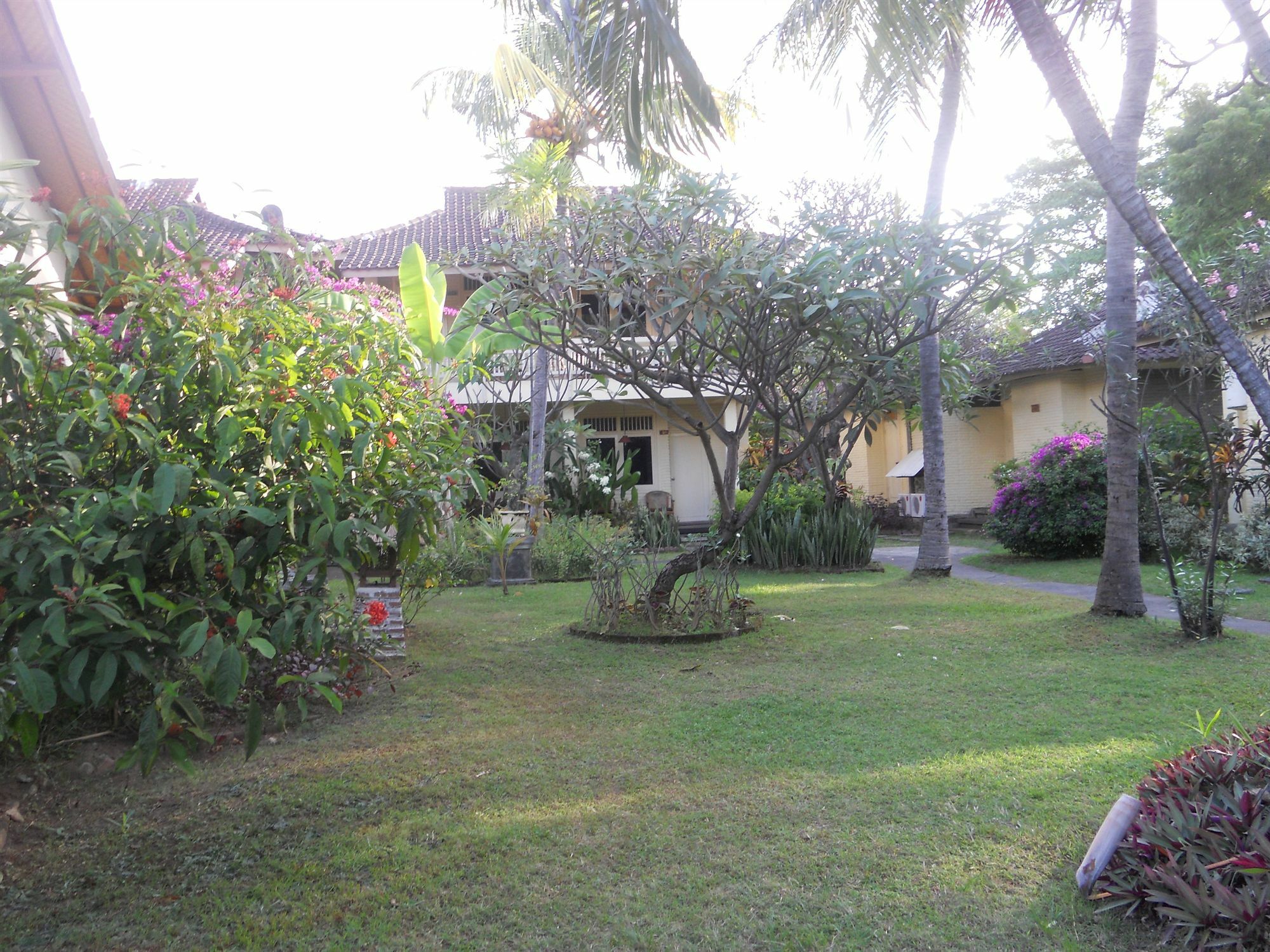 Bali Lovina Beach Cottages Pabean Buleleng Eksteriør bilde