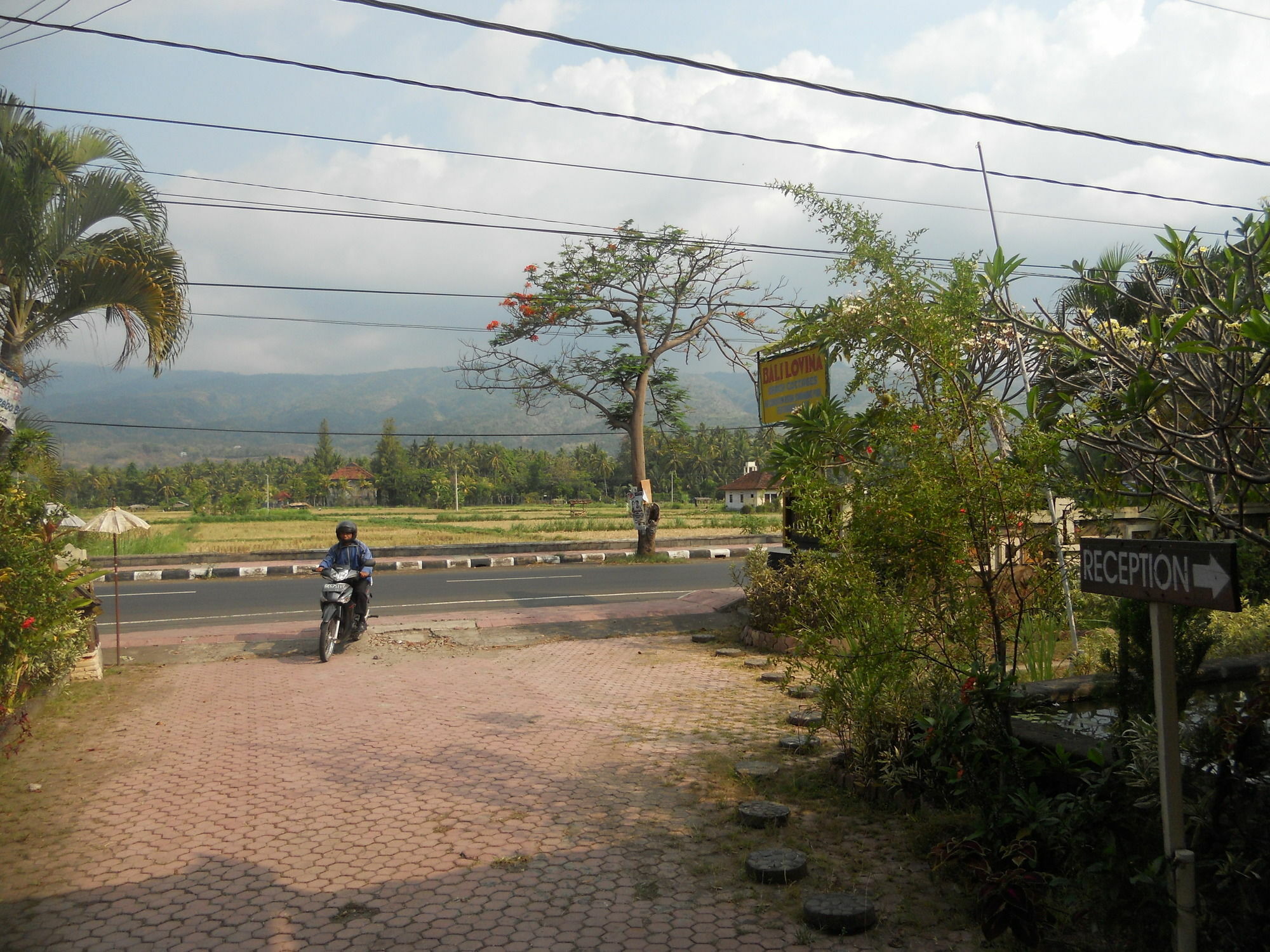 Bali Lovina Beach Cottages Pabean Buleleng Eksteriør bilde