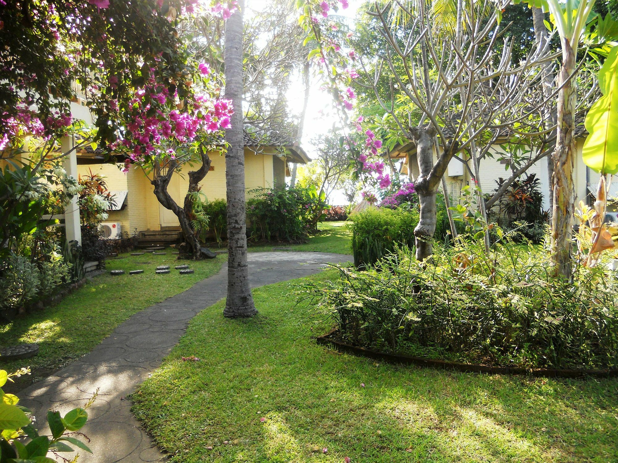 Bali Lovina Beach Cottages Pabean Buleleng Eksteriør bilde