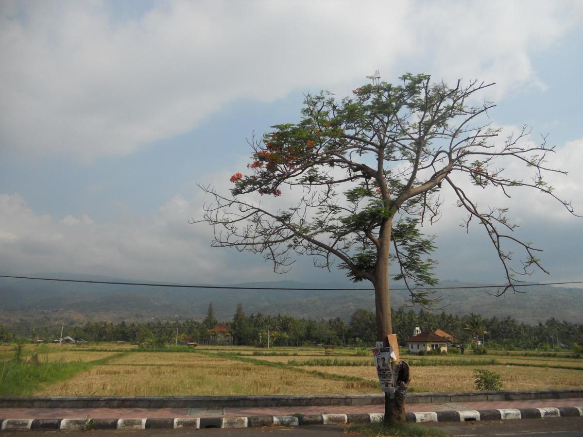 Bali Lovina Beach Cottages Pabean Buleleng Eksteriør bilde
